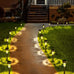 Outdoor Solar Lights Garden Lights